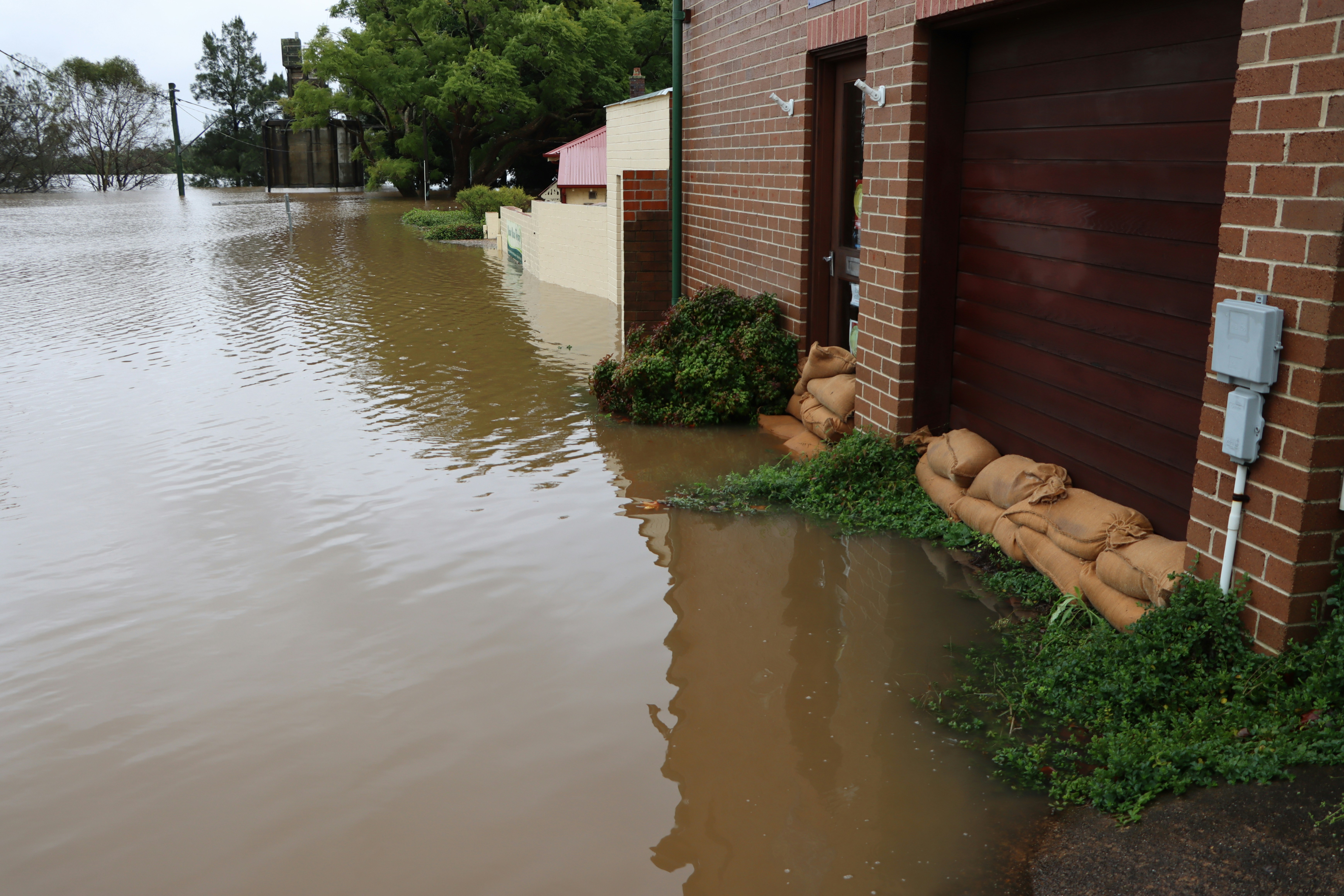 Dealing with a Flooded Basement in Wake County? Best Option Restoration Has You Covered