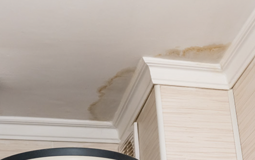 Franklin NC Top Water Damage Restoration Contractor