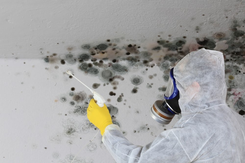 Keeping it Clean: How to Prevent Mold in Your Bathroom