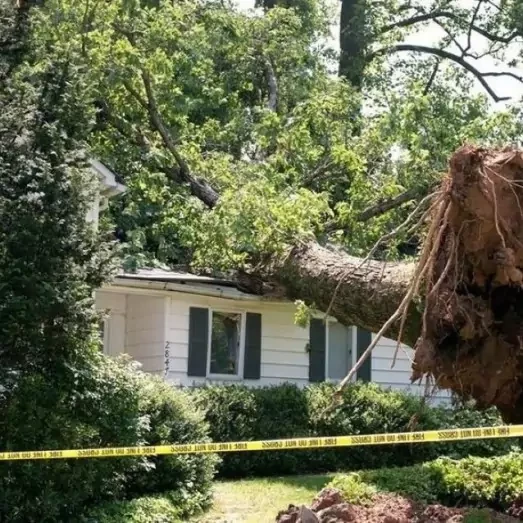 Storm & Wind Damage Repair Services in Southwest Raleigh, NC