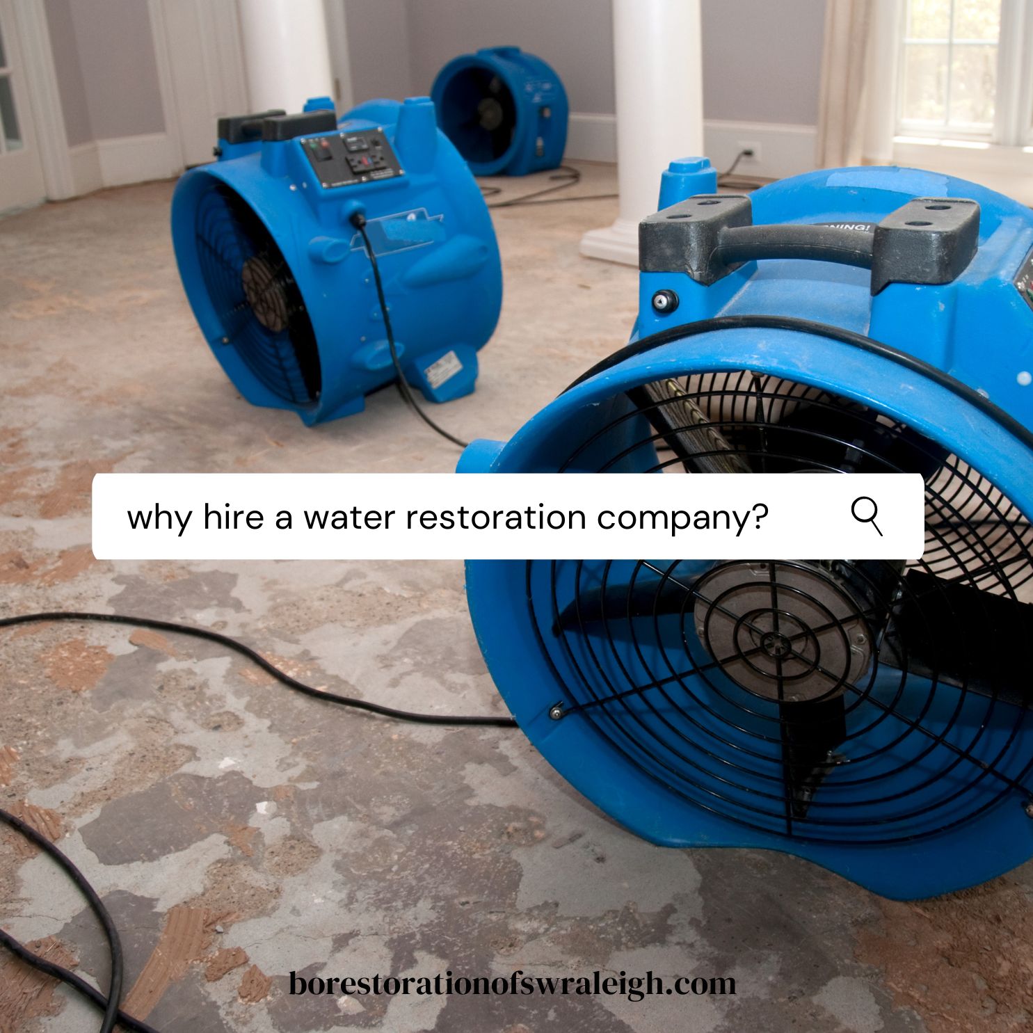 The Crucial Role of Professional Water Restoration Services