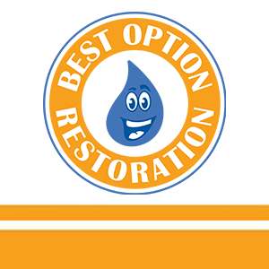The Crucial Role of Professional Water Restoration Services